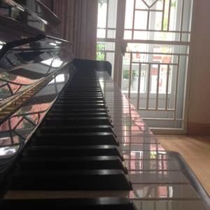 Meet your Posher, Dang thai